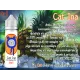 CATina - Pina Colada Ice 60ml - After-8 CATina - Pina Colada Ice 60ml - After-8