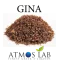 GINA 10ml
