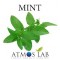 MINT  10ml