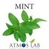 MINT  10ml