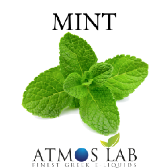 Mint 10ml eliquid