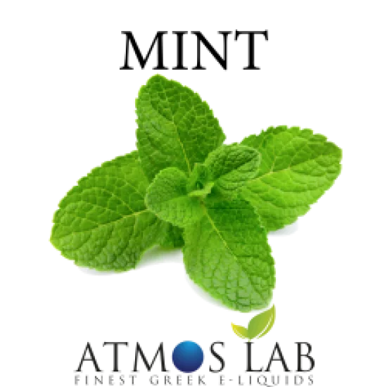 Mint 10ml eliquid
