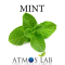 Mint 10ml eliquid