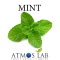 Mint 10ml eliquid