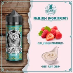 Steampunk Flavor Shots 120ml – Marion Steampunk Flavor Shots 120ml – Marion