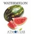 WATERMELON 10ml